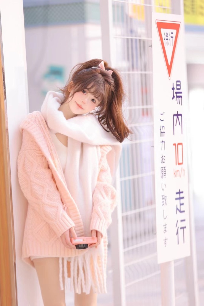 SEO介绍：成功案例分析及策略分享