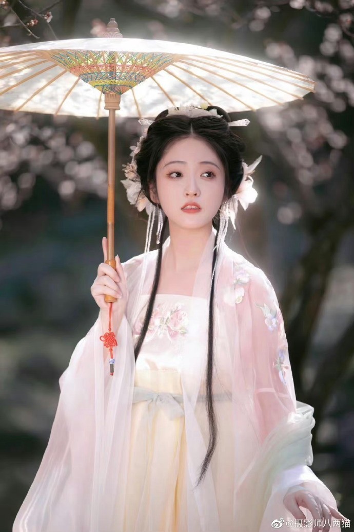 蜘蛛池使用教程视频讲解大全图片