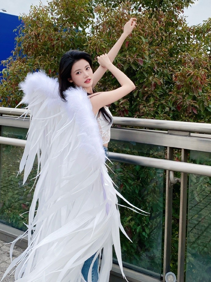 免费百度蜘蛛池在线观看