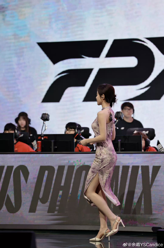 搭建蜘蛛池需要多少钱一个月呢图片