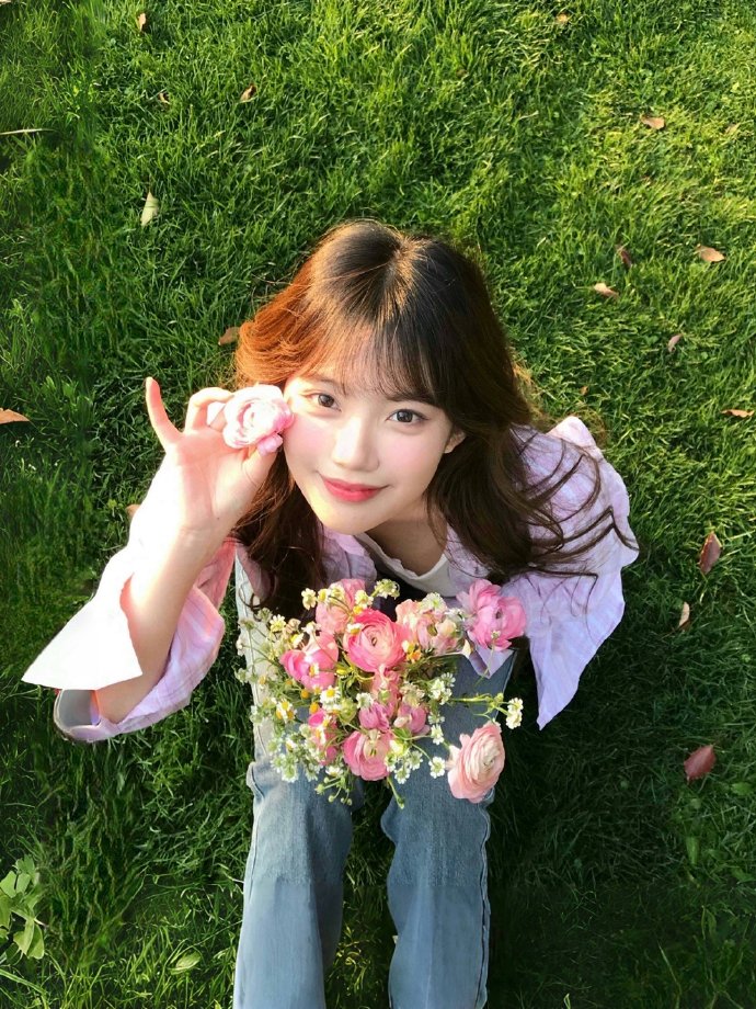 蜘蛛池外链工具有哪些东西组成图片