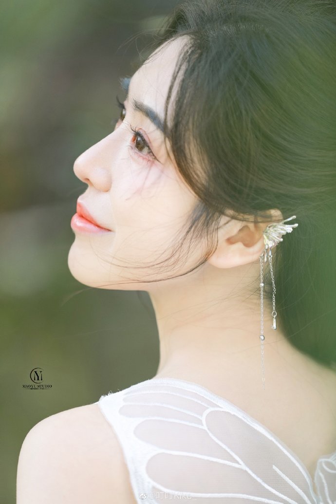 如何构建蜘蛛池视频教学下载安装包