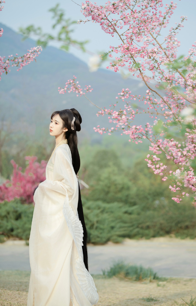 蜘蛛池成本多少钱一次啊视频讲解下载