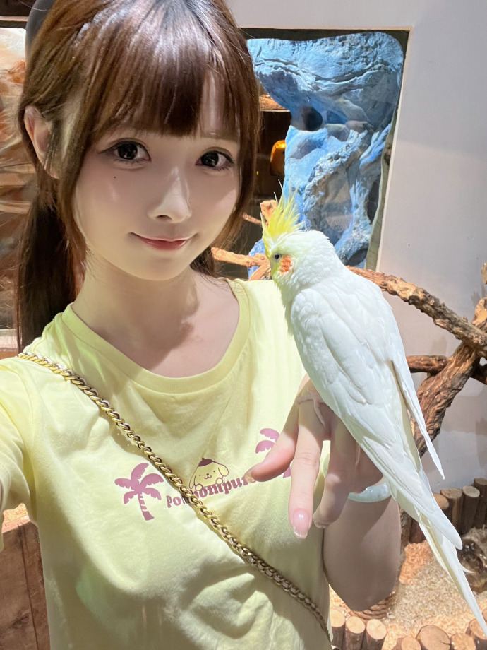 SEO新闻源：助力企业提升网络曝光度的秘密武器