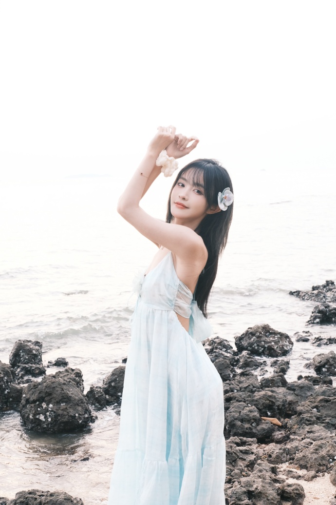 蜘蛛池搭建教程视频大全图解图片