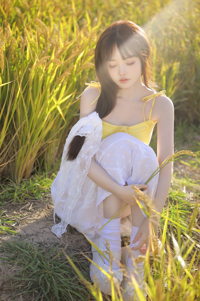 SEO关键词优化攻略：火13星助力网站流量飙升