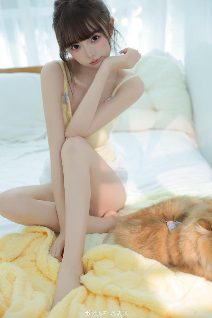 9.1网页版无需安装