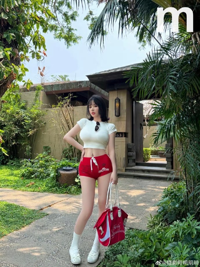 不良记录网站建设：构建透明、高效的信用体系