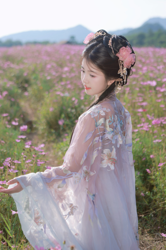 万能蜘蛛池解说