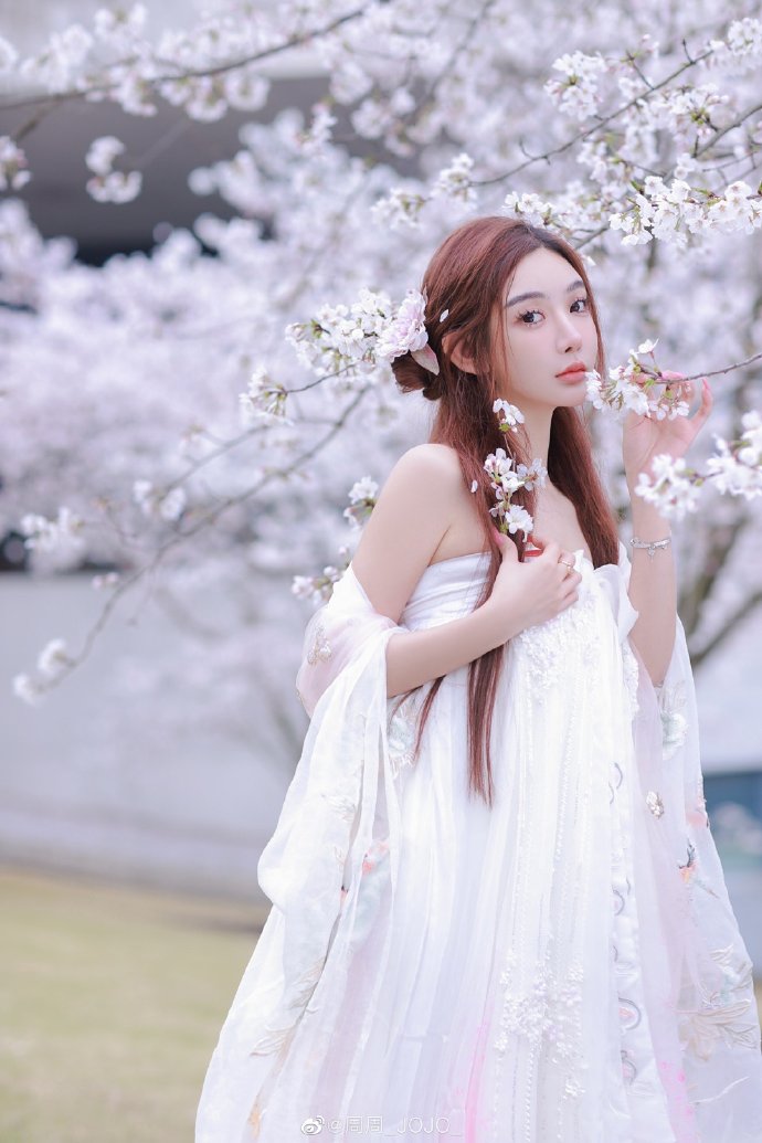 百度蜘蛛池租用多少钱一天啊图片