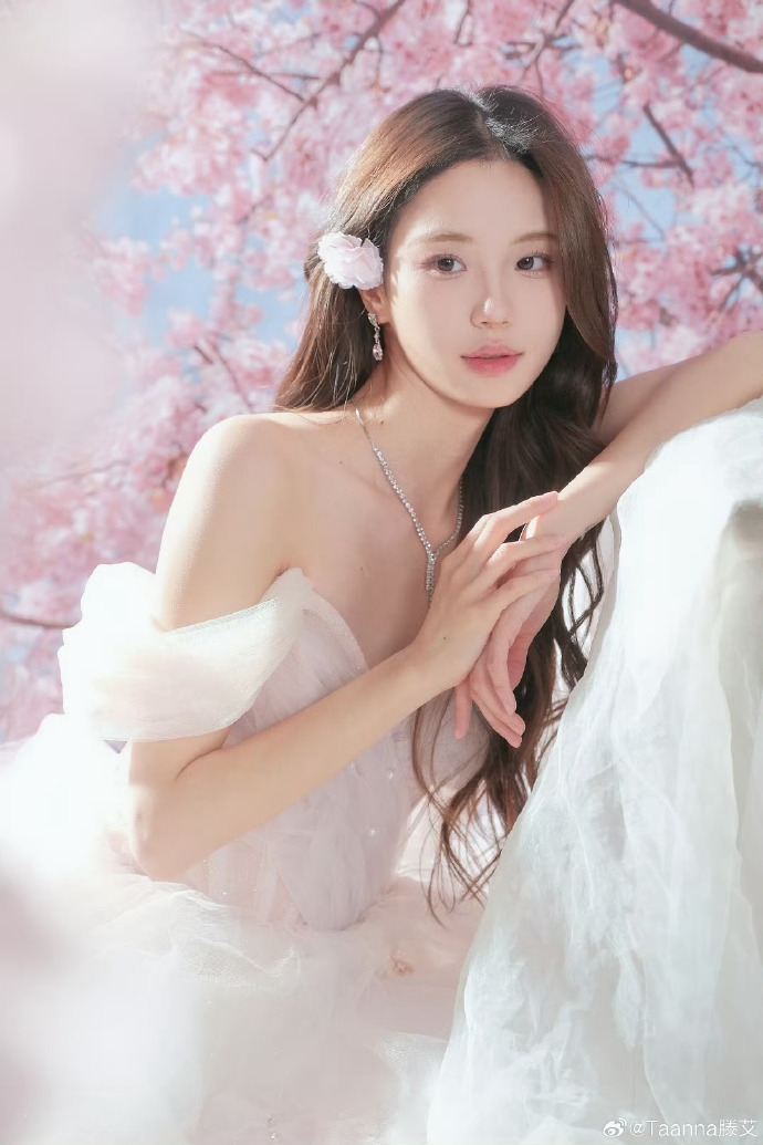 蜘蛛池如何搭建图解视频教学下载安装