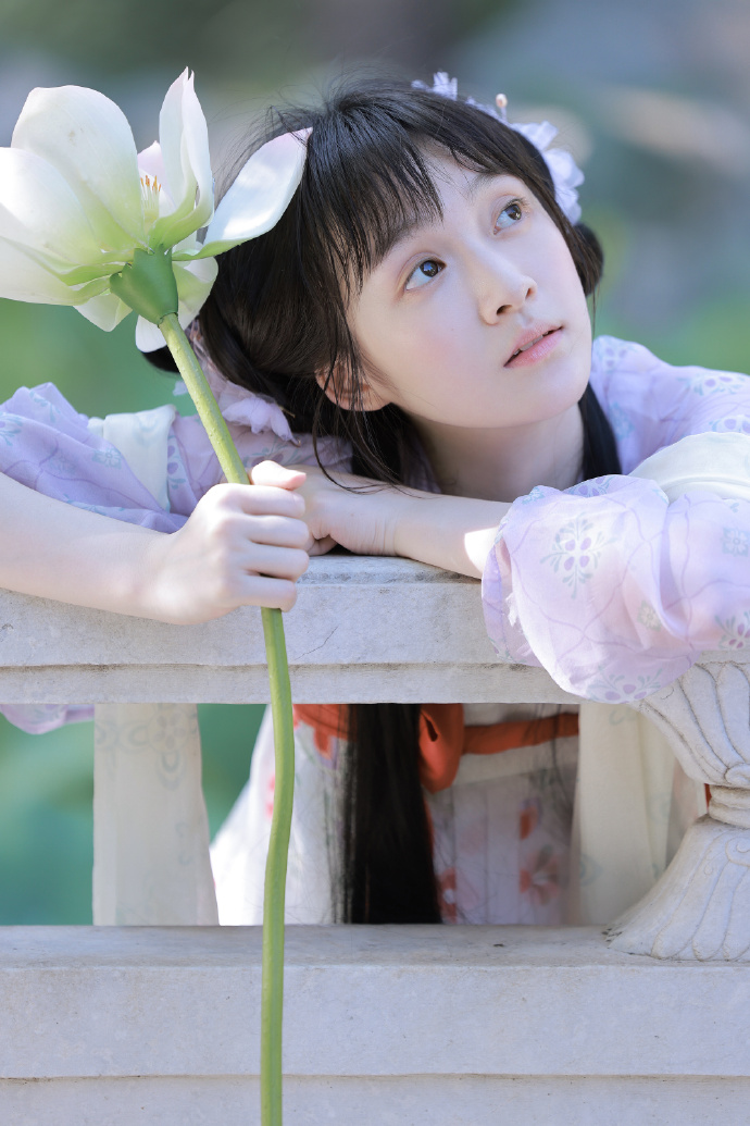 蜘蛛池租用价格表图片高清大全大图