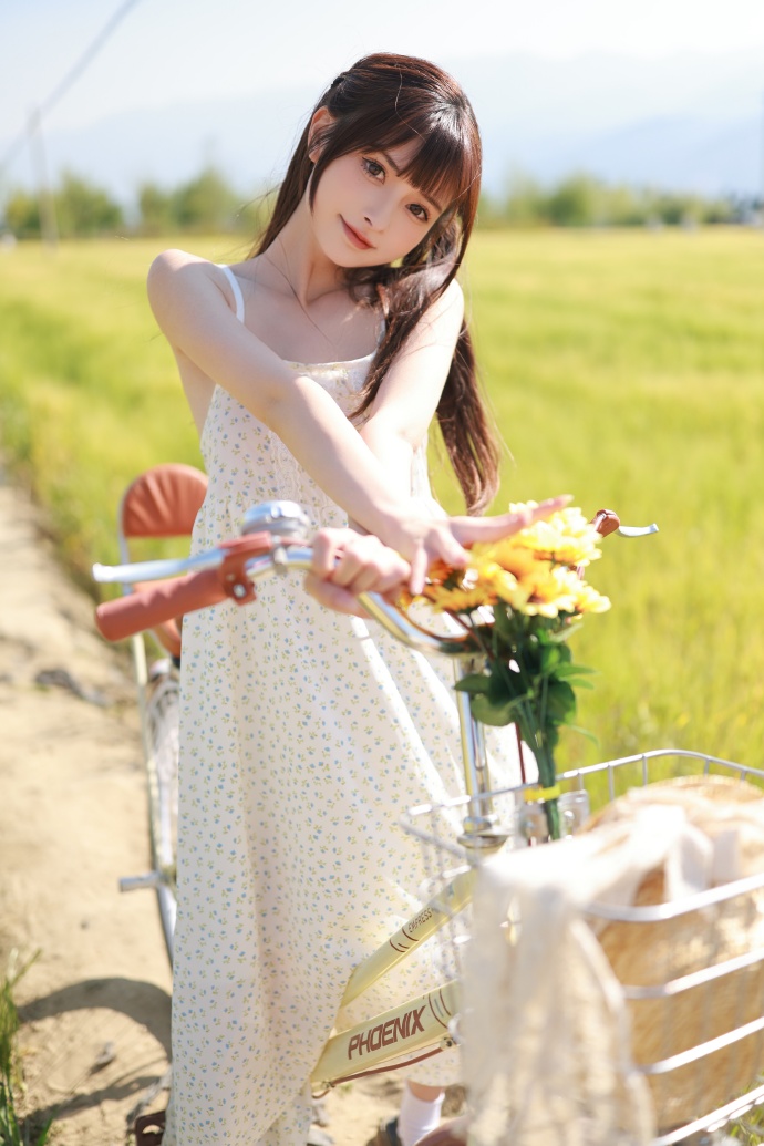 SEO搜索引擎：揭秘网络世界的导航灯塔