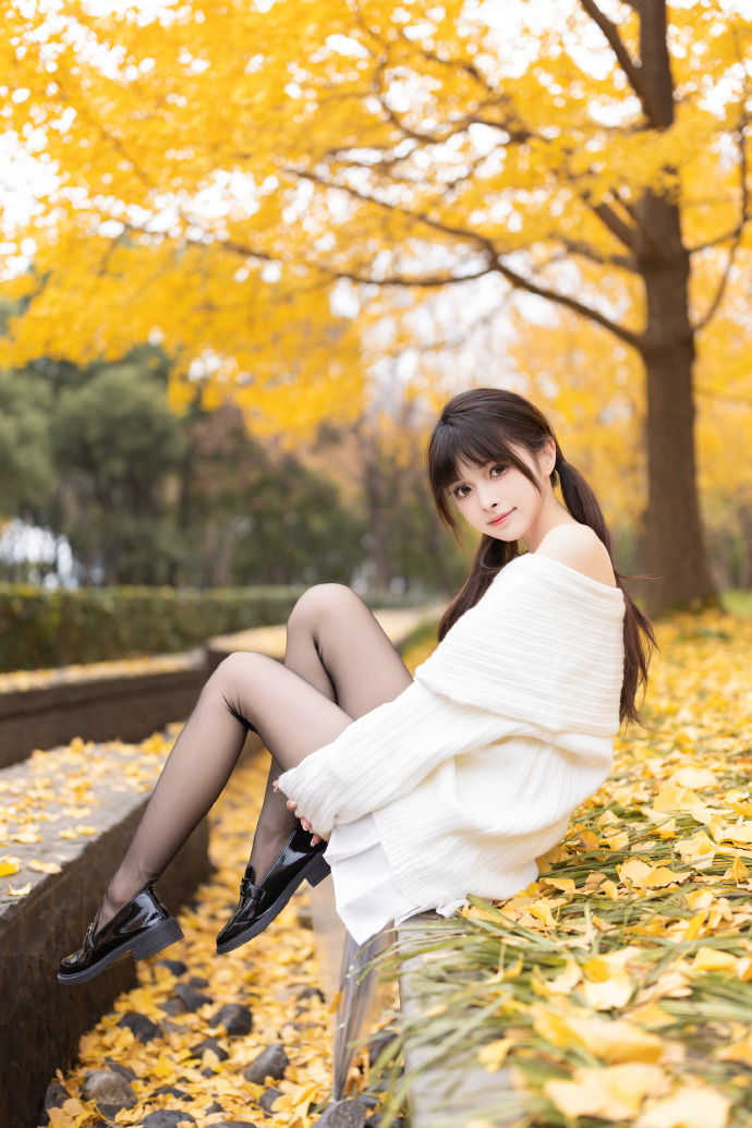 蜘蛛池搭建教程图片高清大图视频下载大全