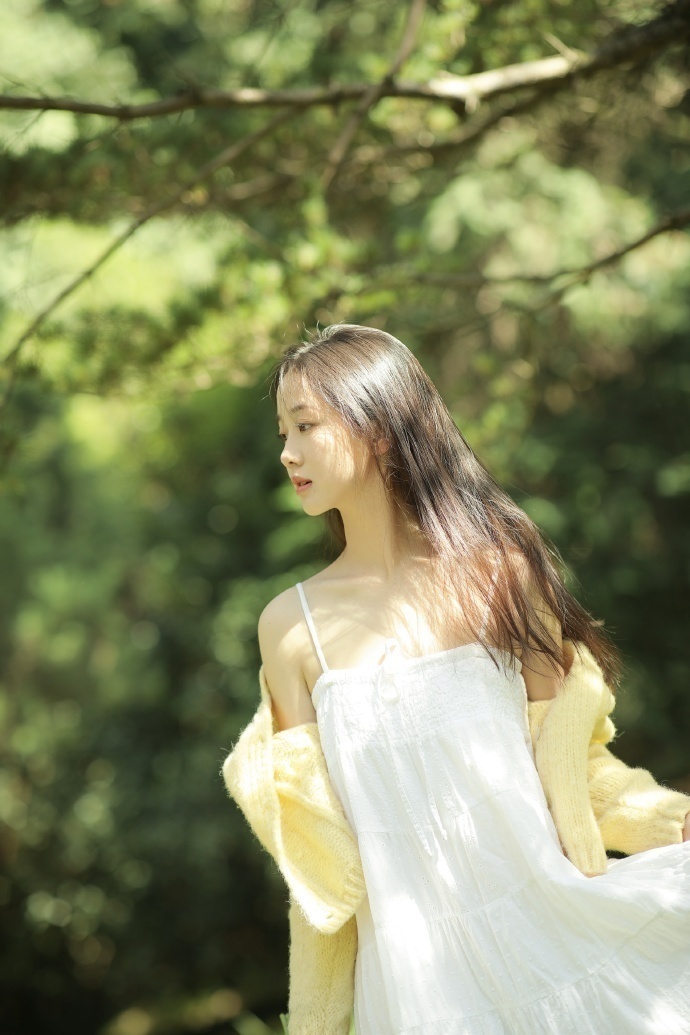 SEO网站推广：如何利用SI策略提升网站流量与排名