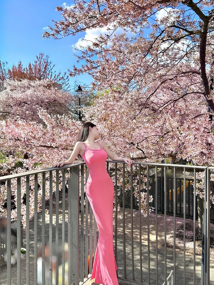 打造品牌新高度,网站建设,广告语助力企业腾飞!