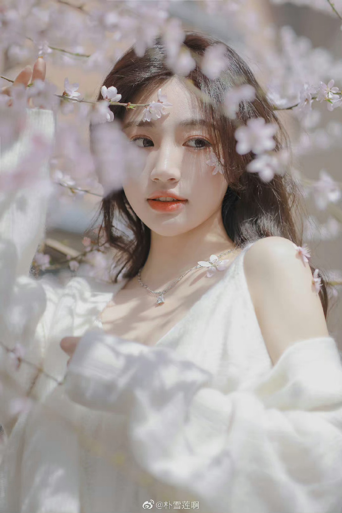 蜘蛛池怎么做视频教程图片下载安装手机版