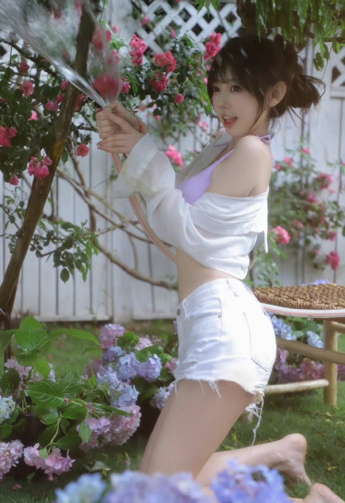 如何搭建蜘蛛池视频讲解图片教程大全