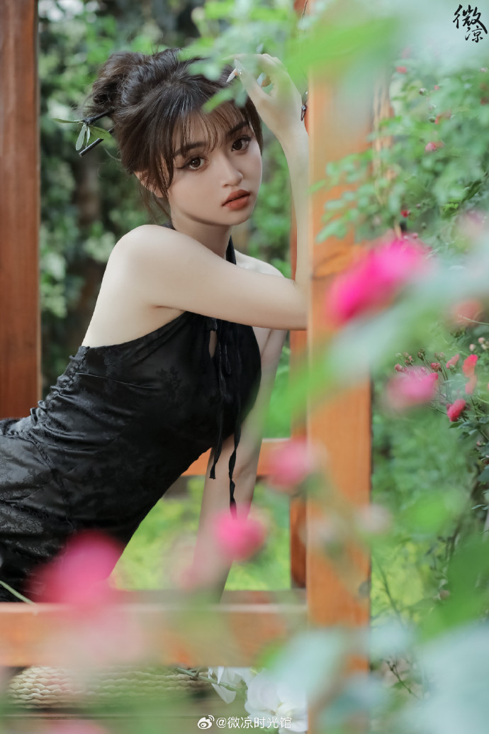 谷歌蜘蛛池程序怎么安装不了软件