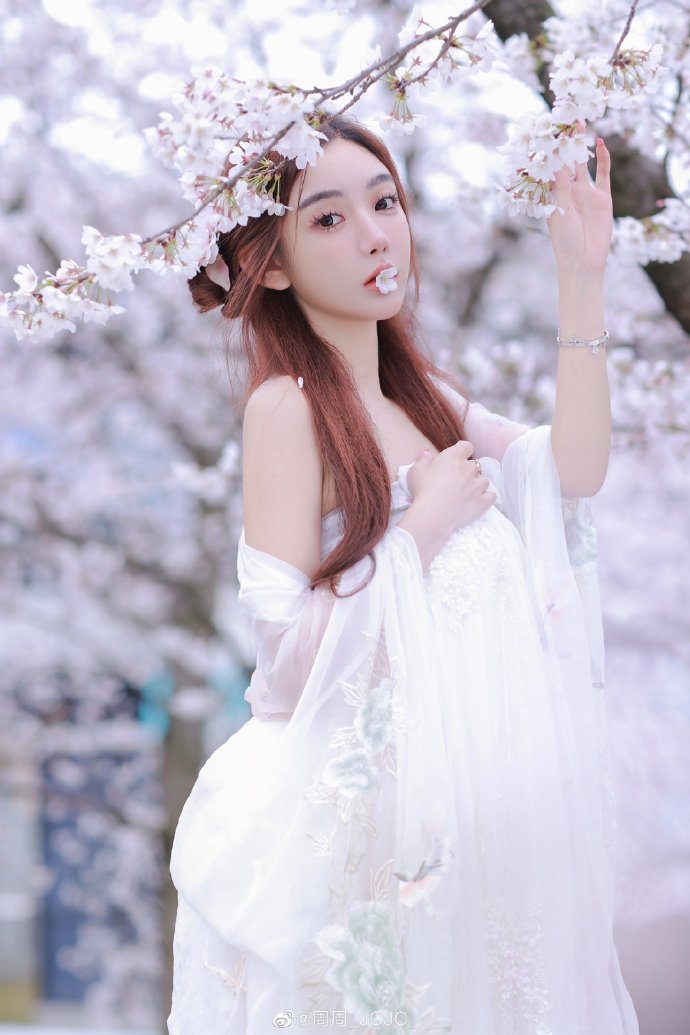 SEO技巧揭秘：司级专家带你玩转搜索引擎优化