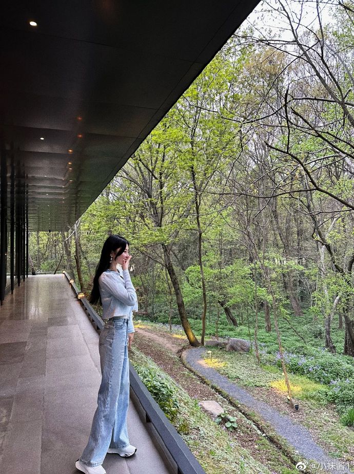 百度蜘蛛池租用多少钱一个月啊