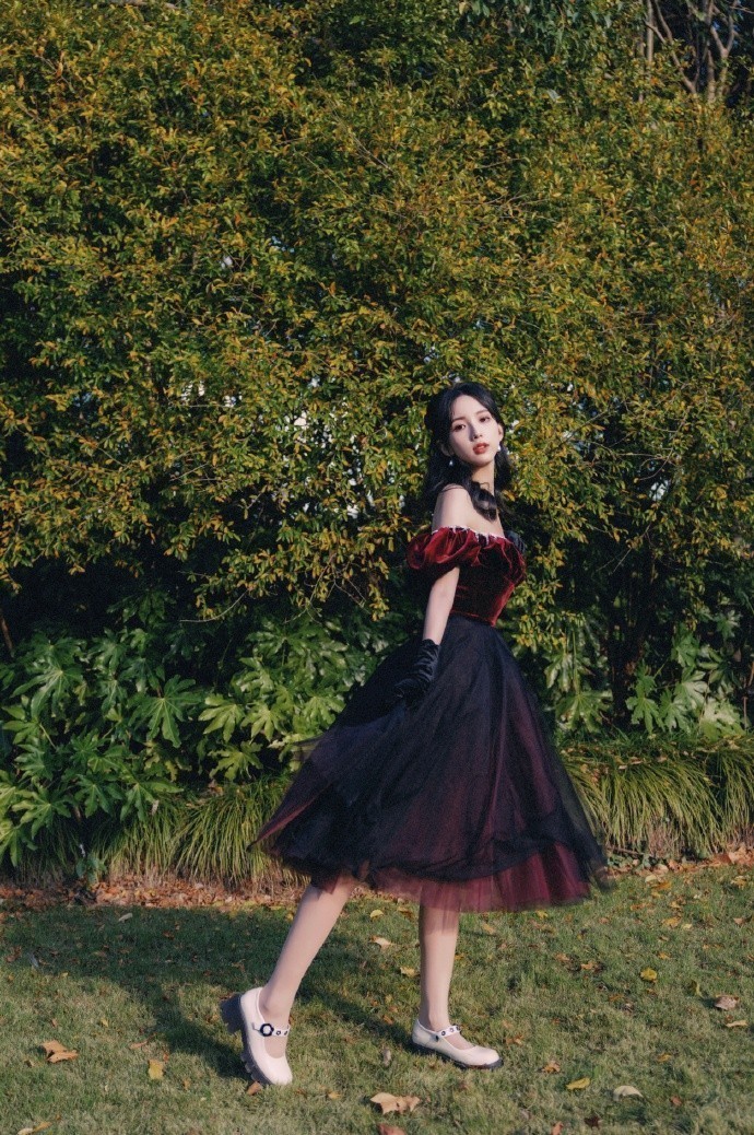 百度高级搜索可限定搜索结果