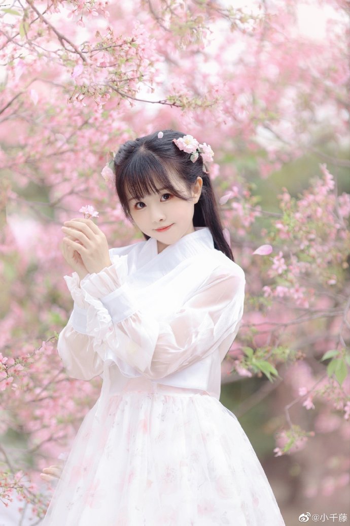 苍溪网站建设：打造企业数字化转型的强力引擎