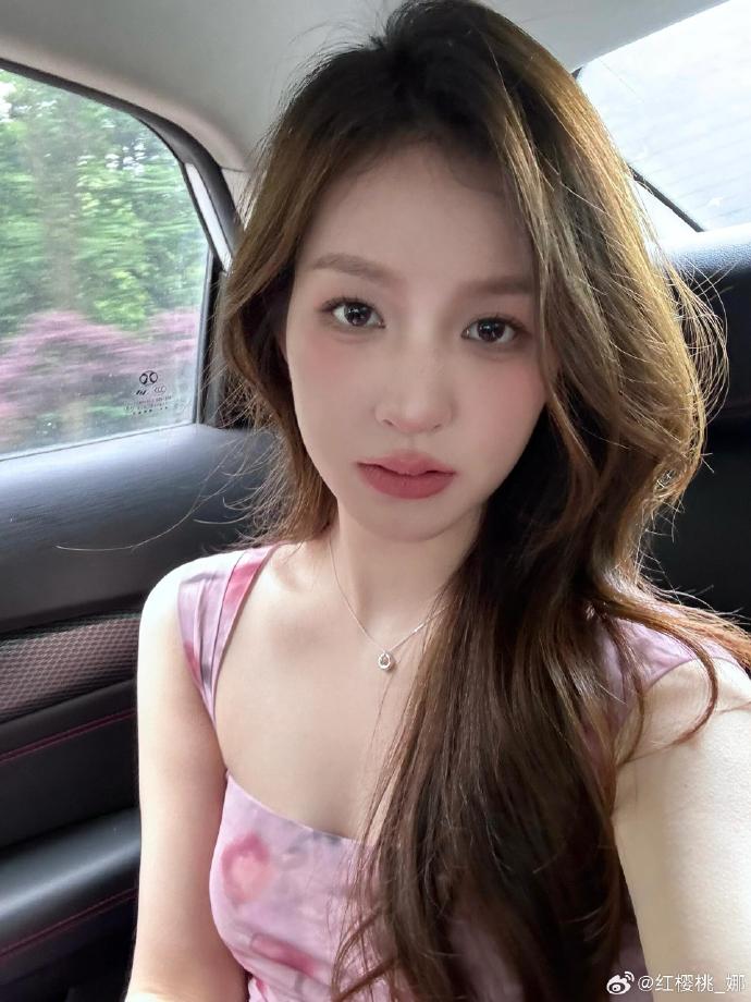 百度蜘蛛池原理图讲解视频