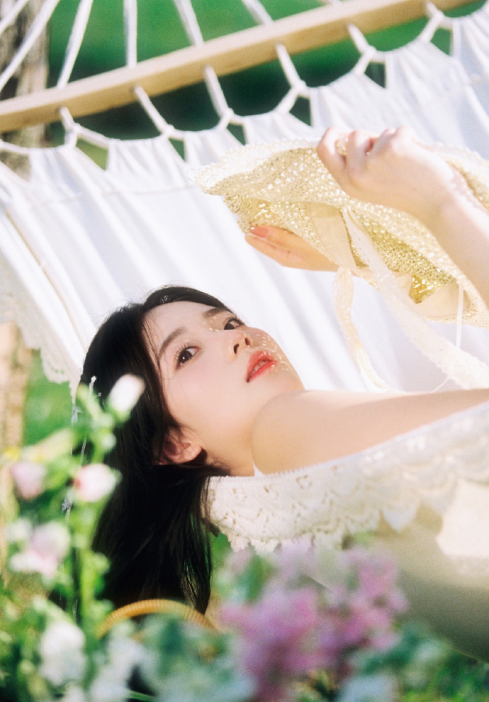 蜘蛛池新手入门教程图解视频下载大全