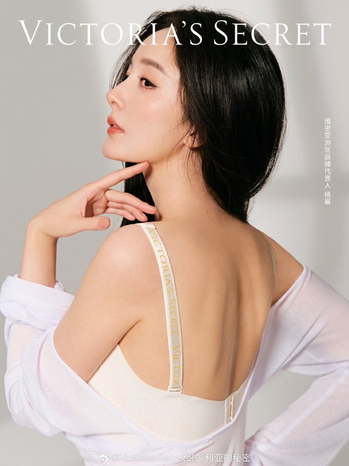 搭建谷歌蜘蛛池需要什么材料呢知乎