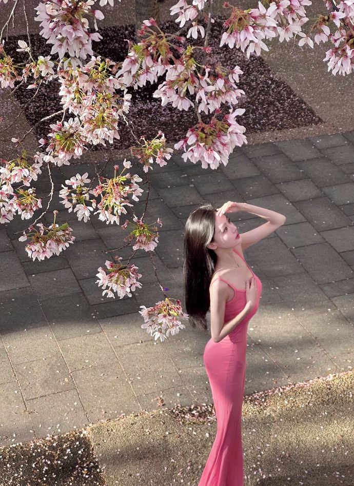 蜘蛛池怎么用视频教程下载安装苹果