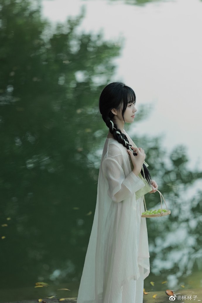 谷歌蜘蛛池域名怎么用