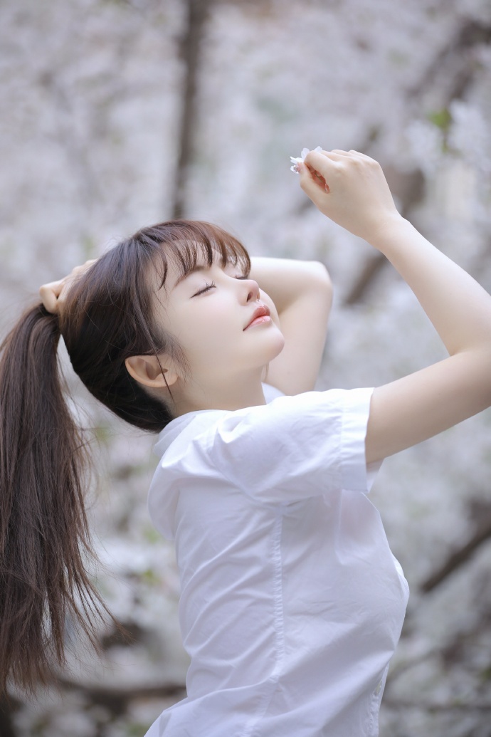 蜘蛛池出租价格多少钱一天啊图片