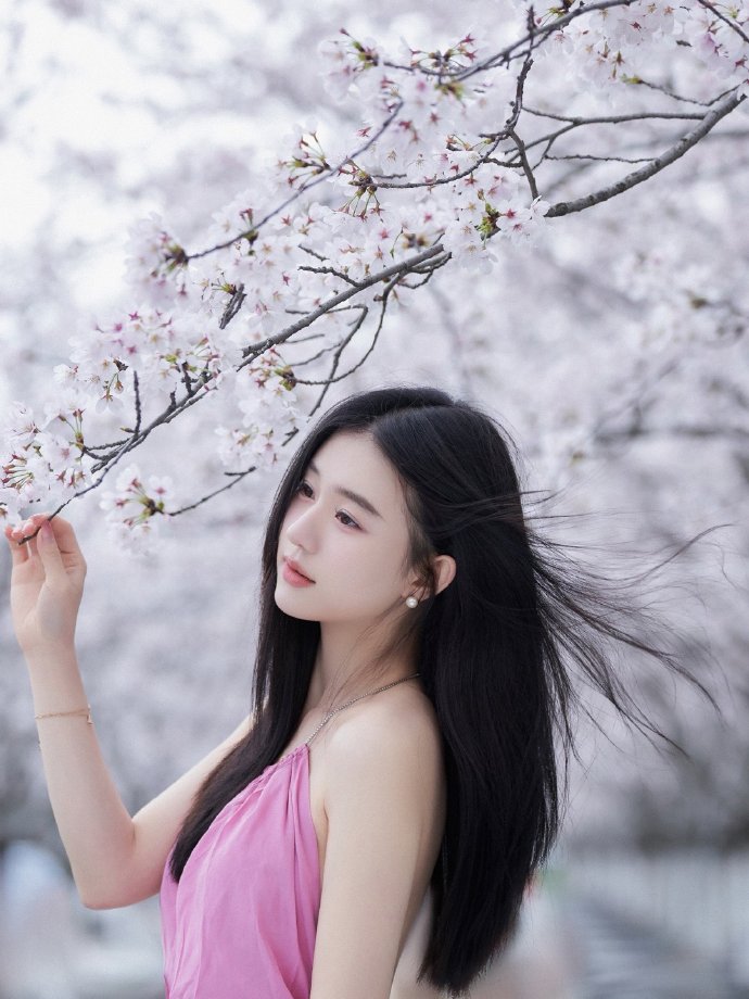 蜘蛛池怎么搭建好看视频教学大全