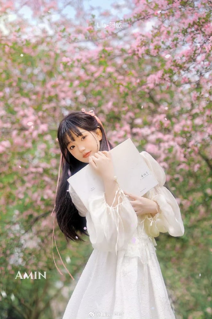 如何构建蜘蛛池视频教学图片下载安装