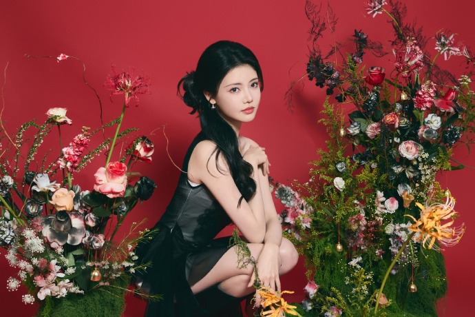 蜘蛛池搭建方法视频大全下载安装