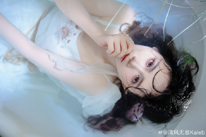 蜘蛛池是什么原理形成的图片和视频介绍