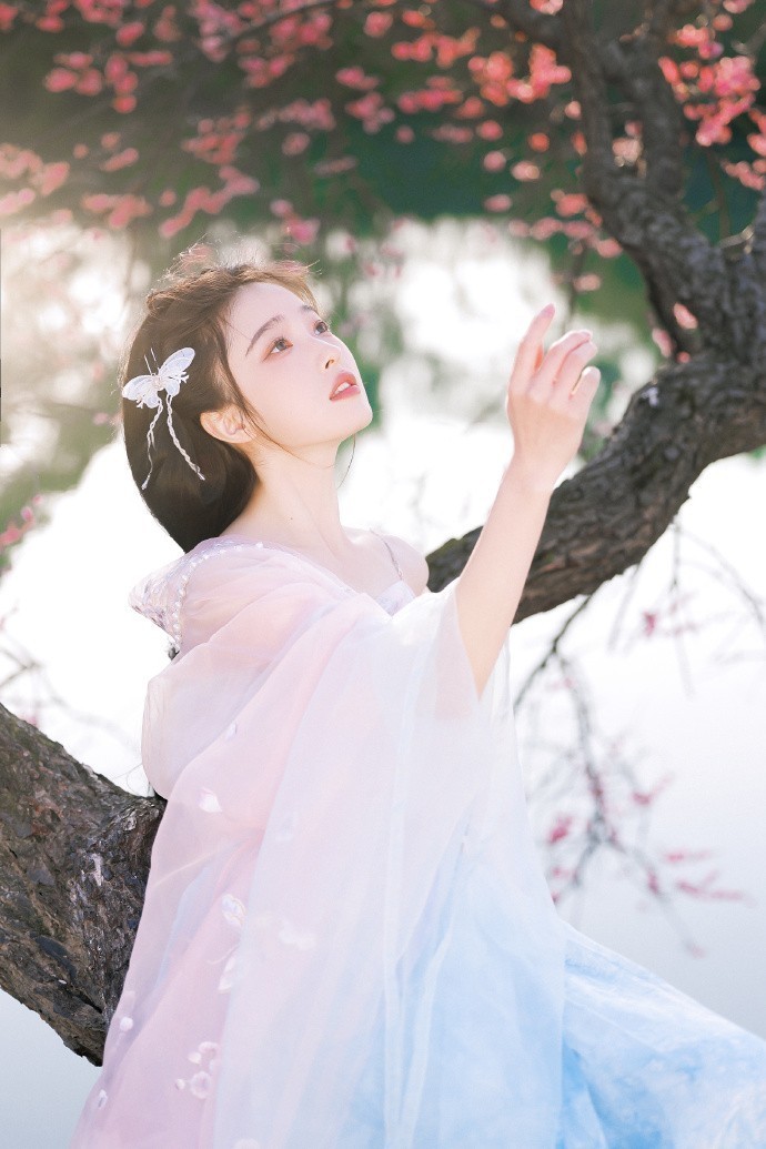 怎么做蜘蛛池视频教学全集下载安装