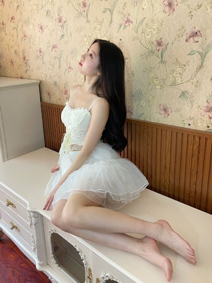 蜘蛛池搭建教程视频讲解全集下载安装