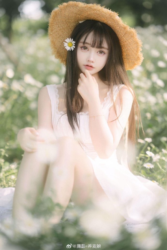 如何构建蜘蛛池视频讲解教程图片