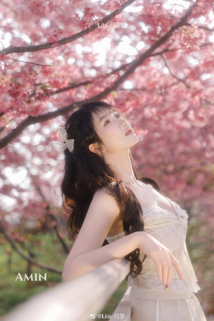 如何搭建蜘蛛池视频讲解图片教程大全