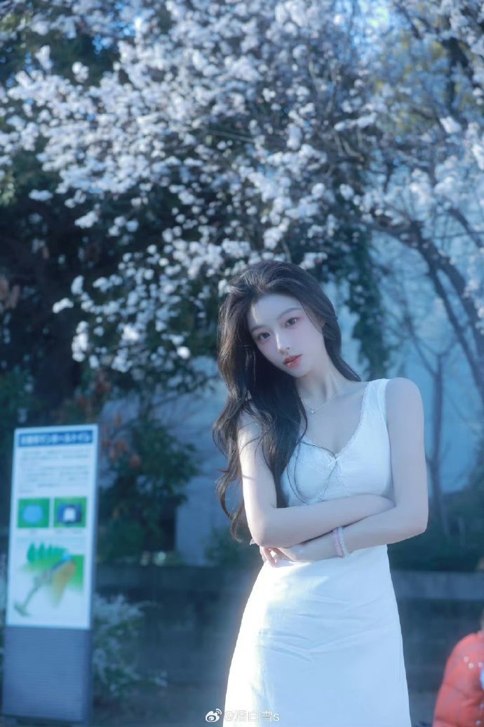 成都网站建设安全：筑牢网络安全防线，守护企业信息港湾