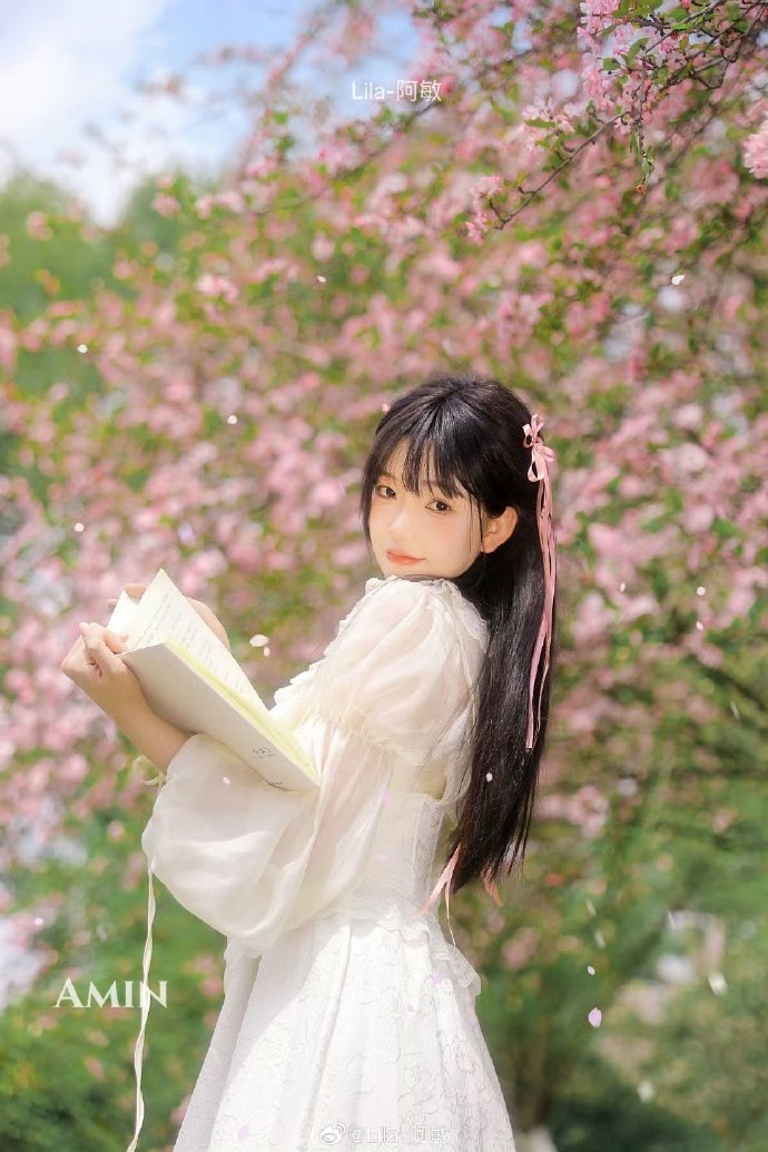 阿里蜘蛛池免费版