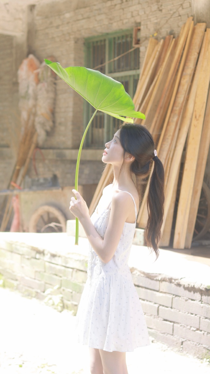 SEO推广表格下载：优化网站排名，提升流量秘籍大公开！