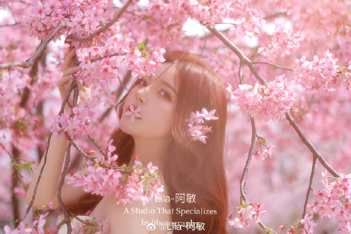 蜘蛛池使用教程视频讲解全集下载安装