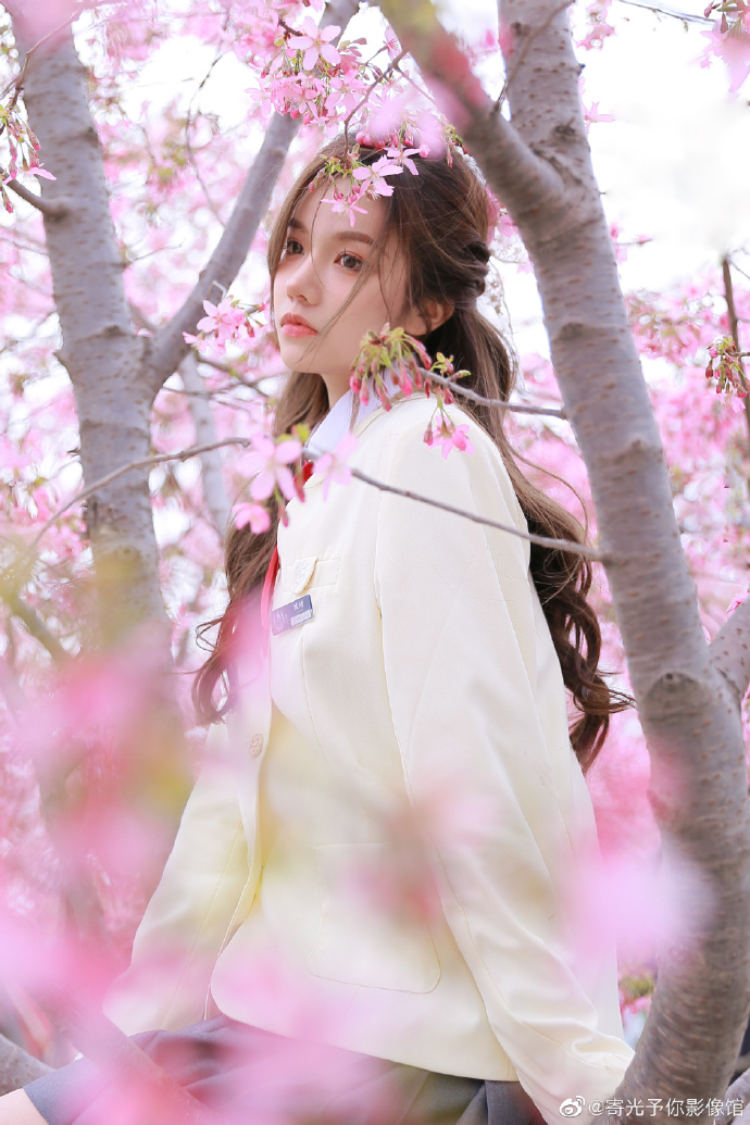 百度蜘蛛池平台租赁价格分析及性价比评估报告