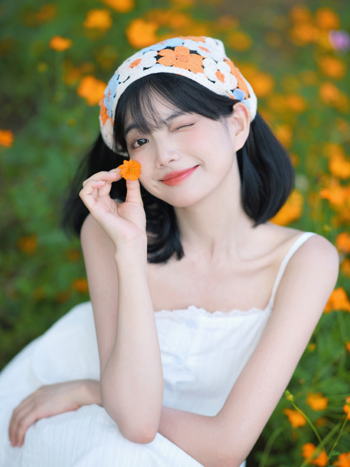 蜘蛛池使用教程视频讲解全集下载安装