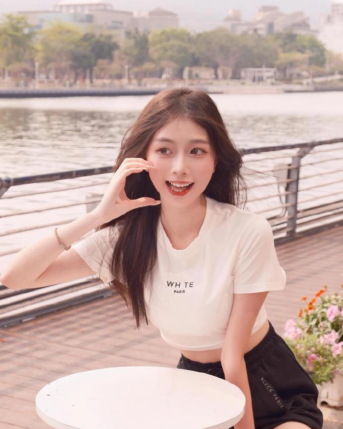 SEO的分类及其应用领域解析