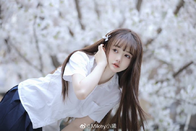 SEO与竞价流量：优化策略与实战技巧