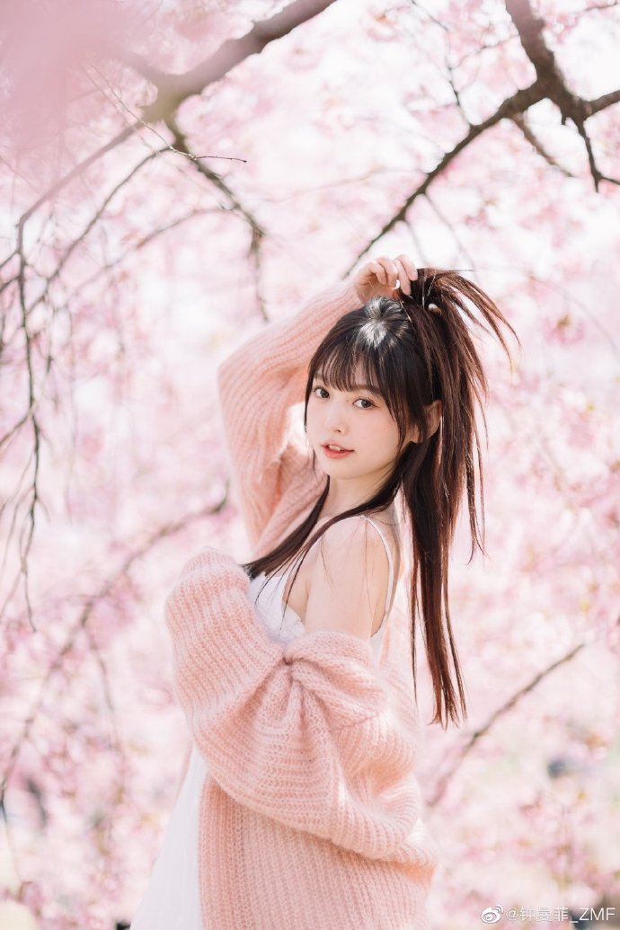 蜘蛛池搭建教程视频大全下载手机版